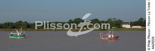 Cussac-Fort-Médoc - © Philip Plisson / Plisson La Trinité / AA29226 - Photo Galleries - Fishing vessel