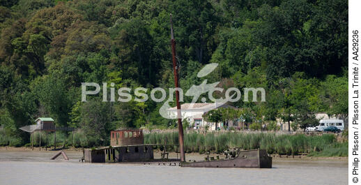 Gauriac - © Philip Plisson / Plisson La Trinité / AA29236 - Photo Galleries - Boat graveyard