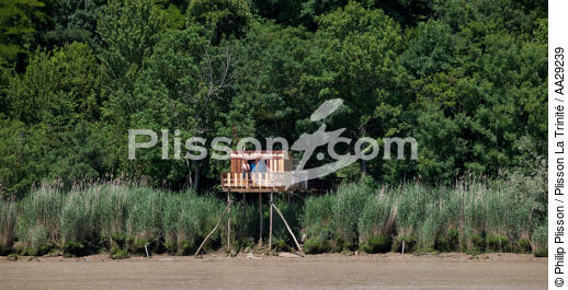 Gauriac - © Philip Plisson / Plisson La Trinité / AA29239 - Photo Galleries - Square fishing net
