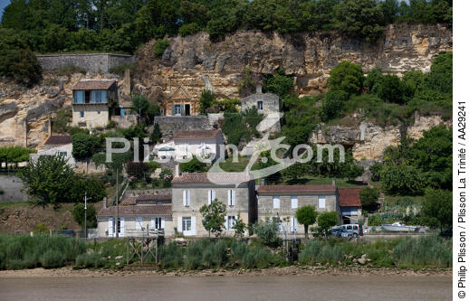 Gauriac - © Philip Plisson / Plisson La Trinité / AA29241 - Nos reportages photos - Gironde