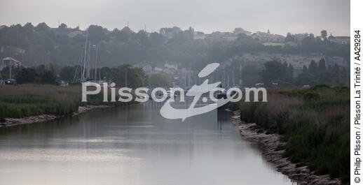 Mortagne sur Gironde - © Philip Plisson / Plisson La Trinité / AA29284 - Nos reportages photos - Mortagne sur Gironde