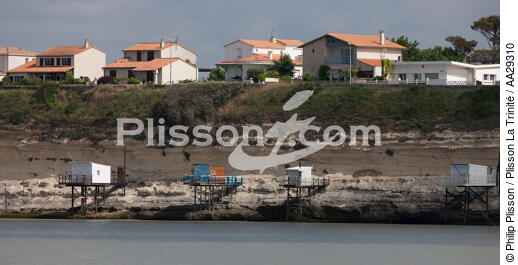 Meschers sur Gironde - © Philip Plisson / Plisson La Trinité / AA29310 - Nos reportages photos - Mots clés