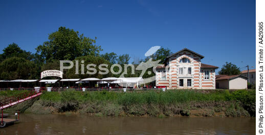 Libourne - © Philip Plisson / Plisson La Trinité / AA29365 - Photo Galleries - Gironde