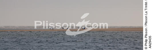 Le Cap Ferret - © Philip Plisson / Plisson La Trinité / AA29435 - Nos reportages photos - Pêche à la ligne