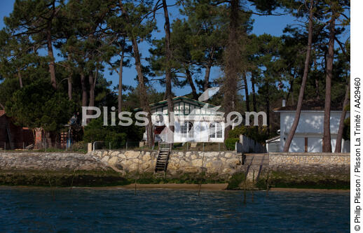 Le Cap Ferret - © Philip Plisson / Plisson La Trinité / AA29460 - Nos reportages photos - Arcachon [Bassin d']