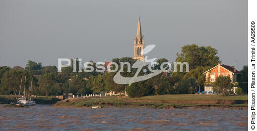 Saint Christoly Médoc - © Philip Plisson / Plisson La Trinité / AA29509 - Photo Galleries - Church steeple