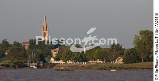Saint Christoly Médoc - © Philip Plisson / Plisson La Trinité / AA29510 - Nos reportages photos - Port