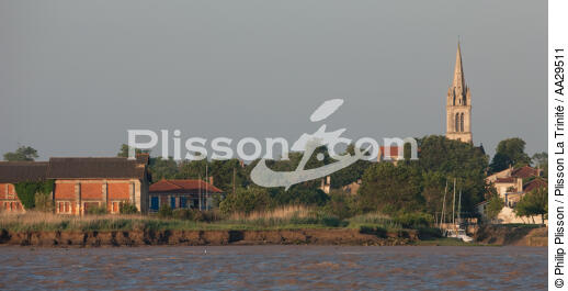 Saint Christoly Médoc - © Philip Plisson / Plisson La Trinité / AA29511 - Nos reportages photos - Port