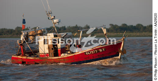 Valeyrac - © Philip Plisson / Plisson La Trinité / AA29520 - Nos reportages photos - Bateau de pêche