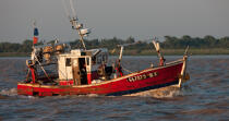 Valeyrac © Philip Plisson / Plisson La Trinité / AA29520 - Nos reportages photos - Bateau de pêche