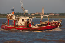 Valeyrac © Philip Plisson / Plisson La Trinité / AA29521 - Nos reportages photos - Bateau de pêche