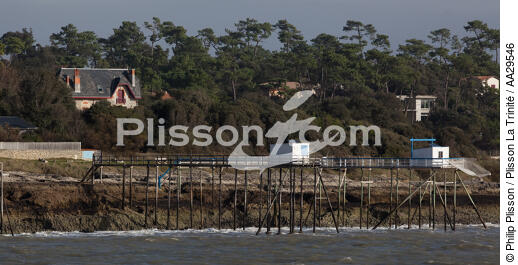 Saint Palais sur mer - © Philip Plisson / Plisson La Trinité / AA29546 - Photo Galleries - Square fishing net