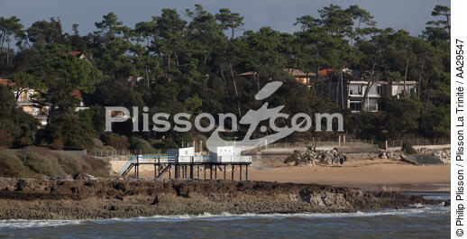 Saint Palais sur mer - © Philip Plisson / Plisson La Trinité / AA29547 - Nos reportages photos - Carrelet