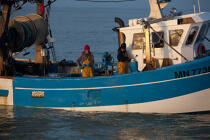 fishing in the estuary of the Gironde © Philip Plisson / Plisson La Trinité / AA29589 - Photo Galleries - Fishing vessel