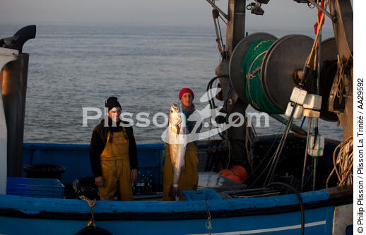 Pêche au Maigre dans l'estuaire de la Gironde - © Philip Plisson / Plisson La Trinité / AA29592 - Nos reportages photos - Métier