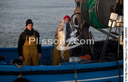Pêche au Maigre dans l'estuaire de la Gironde - © Philip Plisson / Plisson La Trinité / AA29593 - Nos reportages photos - Fleuve