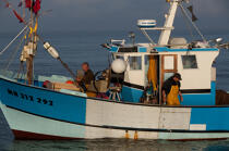 Pêche au Maigre dans l'estuaire de la Gironde © Philip Plisson / Plisson La Trinité / AA29596 - Nos reportages photos - Pêcheur