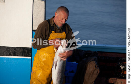 Pêche au Maigre dans l'estuaire de la Gironde - © Philip Plisson / Plisson La Trinité / AA29598 - Nos reportages photos - Hydrologie
