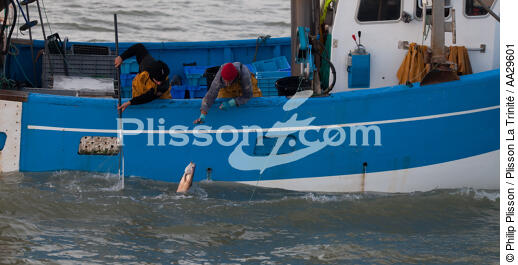 Pêche au Maigre dans l'estuaire de la Gironde - © Philip Plisson / Plisson La Trinité / AA29601 - Nos reportages photos - Mots clés