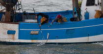 fishing in the estuary of the Gironde © Philip Plisson / Plisson La Trinité / AA29602 - Photo Galleries - Fishing vessel