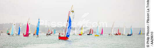 L'île aux moines regatta - © Philip Plisson / Plisson La Trinité / AA29610 - Photo Galleries - Moines [Island of]