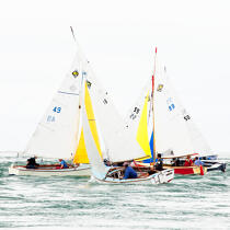 L'île aux moines regatta © Philip Plisson / Plisson La Trinité / AA29614 - Photo Galleries - Keywords