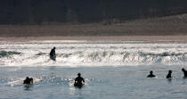 Surf en Gironde © Philip Plisson / Plisson La Trinité / AA29627 - Nos reportages photos - Mots clés