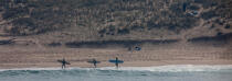 Sur une plage de Gironde © Philip Plisson / Plisson La Trinité / AA29633 - Nos reportages photos - Surf
