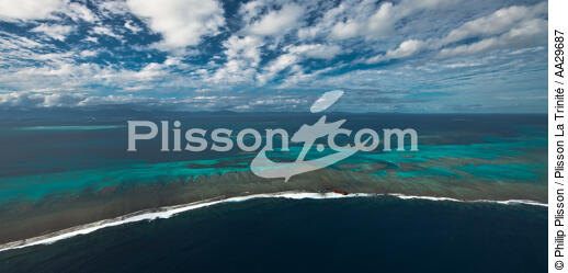 Nouvelle-Caledonie - © Philip Plisson / Plisson La Trinité / AA29687 - Nos reportages photos - Epave