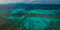 New-Calédonia © Philip Plisson / Plisson La Trinité / AA29688 - Photo Galleries - Lagoon