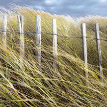 Edge of dune © Philip Plisson / Plisson La Trinité / AA29694 - Photo Galleries - Morbihan