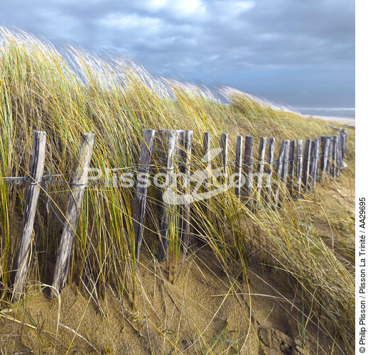 Edge of dune - © Philip Plisson / Plisson La Trinité / AA29695 - Photo Galleries - Light