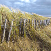 Edge of dune © Philip Plisson / Plisson La Trinité / AA29695 - Photo Galleries - Morbihan