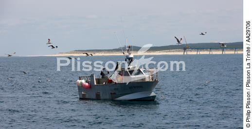 Pêcheurs du Cap Ferret - © Philip Plisson / Plisson La Trinité / AA29706 - Nos reportages photos - Métier
