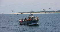 Le Cap Ferret fishermen © Philip Plisson / Plisson La Trinité / AA29706 - Photo Galleries - Fishing vessel
