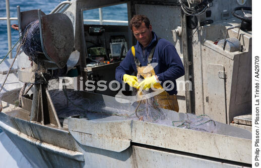 Pêcheurs du Cap Ferret - © Philip Plisson / Plisson La Trinité / AA29709 - Nos reportages photos - Bateau de pêche
