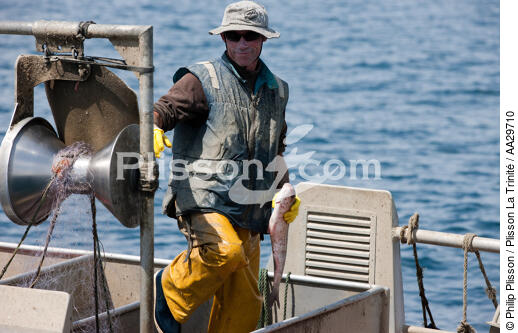 Pêcheurs du Cap Ferret - © Philip Plisson / Plisson La Trinité / AA29710 - Nos reportages photos - Pêcheur