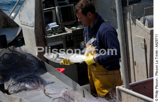 Pêcheurs du Cap Ferret - © Philip Plisson / Plisson La Trinité / AA29711 - Nos reportages photos - Aquitaine
