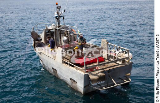 Le Cap Ferret fishermen - © Philip Plisson / Plisson La Trinité / AA29713 - Photo Galleries - Fishing vessel