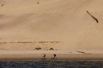La dune du Pilat © Philip Plisson / Plisson La Trinité / AA29727 - Nos reportages photos - Parapente