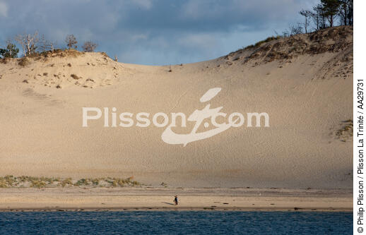 La dune du Pilat - © Philip Plisson / Plisson La Trinité / AA29731 - Nos reportages photos - Pilat [Dune du]