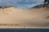 The dune du Pilat © Philip Plisson / Plisson La Trinité / AA29731 - Photo Galleries - Non-nautical sports