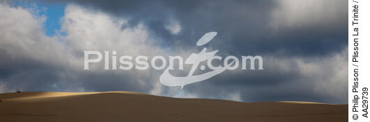 The dune du Pilat - © Philip Plisson / Plisson La Trinité / AA29739 - Photo Galleries - From Soulac to Capbreton
