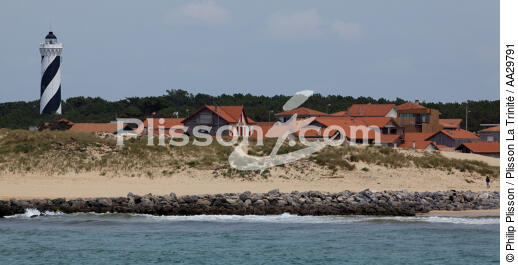 Contis plage - © Philip Plisson / Plisson La Trinité / AA29791 - Nos reportages photos - Contis Plage