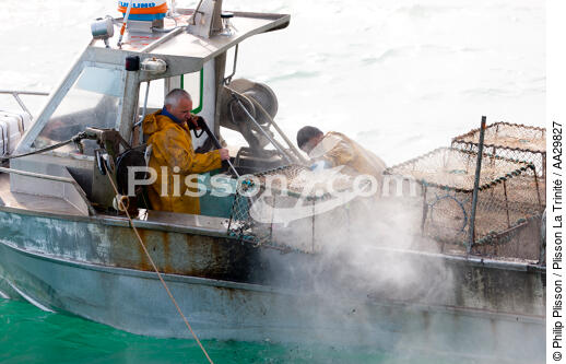 Caseyeur en pêche à la seiche - © Philip Plisson / Plisson La Trinité / AA29827 - Nos reportages photos - De Barfleur à Granville