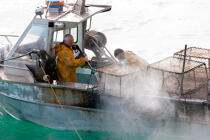 Caseyeur en pêche à la seiche © Philip Plisson / Plisson La Trinité / AA29827 - Nos reportages photos - Caseyeur