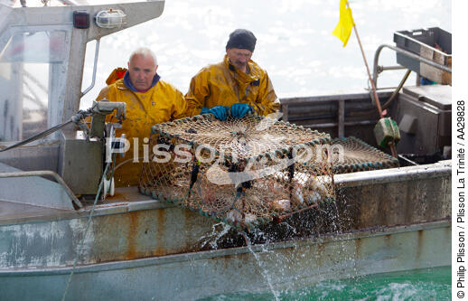 Pot vessels fishing in the cuttlefish [AT] - © Philip Plisson / Plisson La Trinité / AA29828 - Photo Galleries - Lobster pot fishing boat