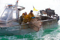 Caseyeur en pêche à la seiche © Philip Plisson / Plisson La Trinité / AA29829 - Nos reportages photos - Caseyeur