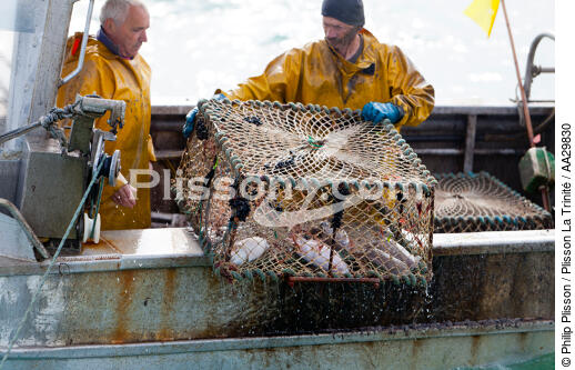 Pot vessels fishing in the cuttlefish [AT] - © Philip Plisson / Plisson La Trinité / AA29830 - Photo Galleries - Lobster pot fishing boat