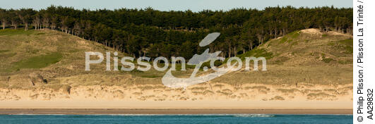 Dune to Hattainville - © Philip Plisson / Plisson La Trinité / AA29832 - Photo Galleries - Normandie